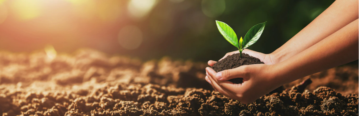 온라인 교육 배너 모바일